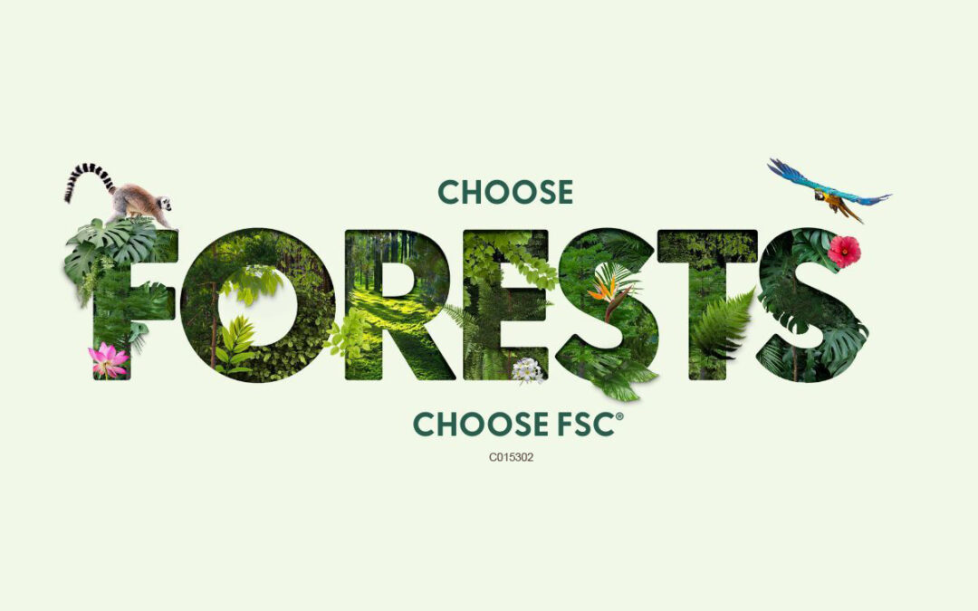 Celebrate with us the value of forests with FSC Week 2022