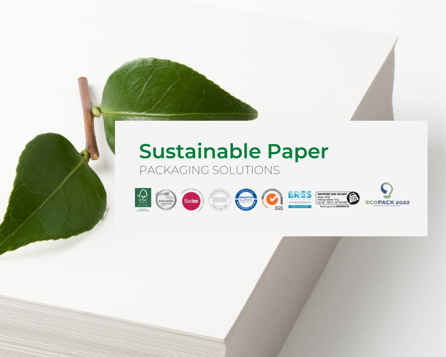 sustainable paper packaging Fiorini International
