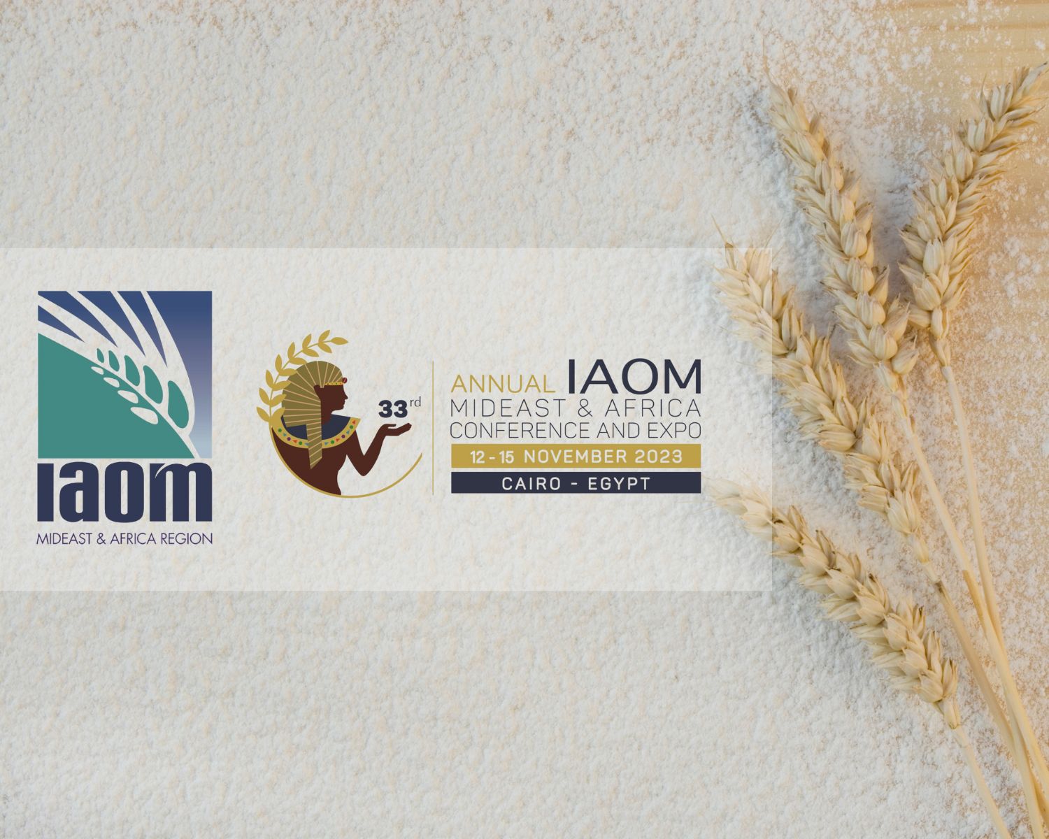 IAOM MEA 2023 con i nostri partner del Medio Oriente ed Africa