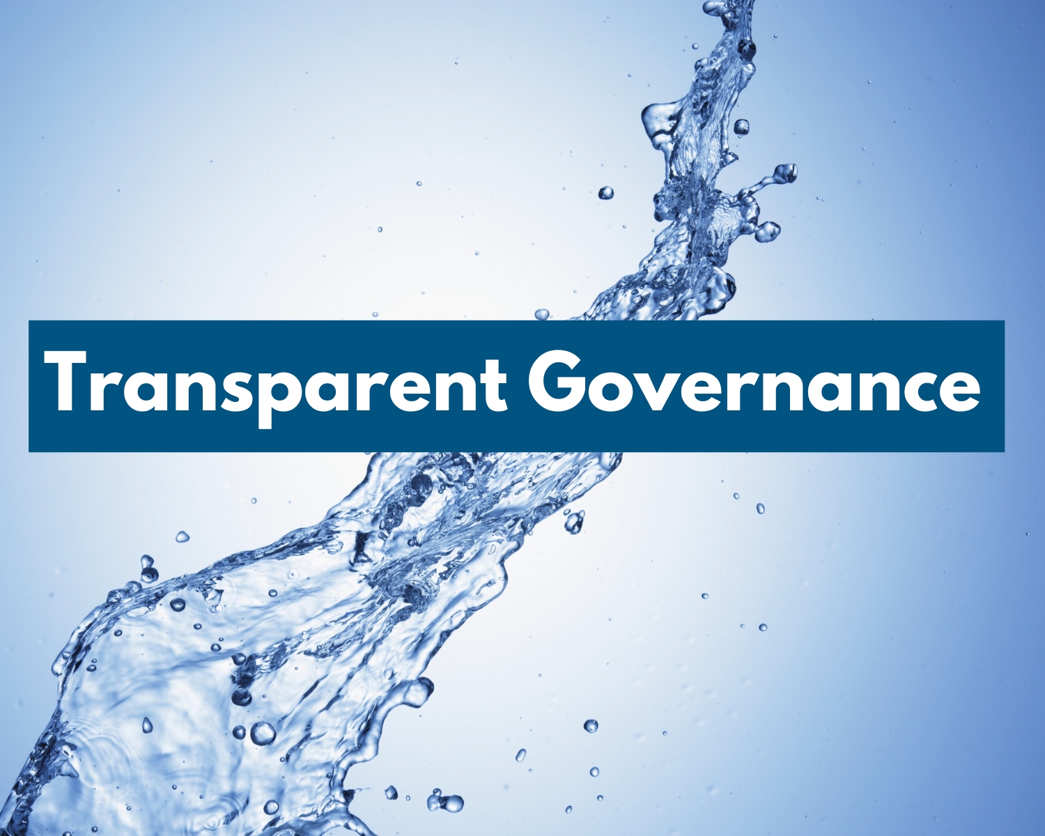 Fiorini International Modello 231 governance trasparente