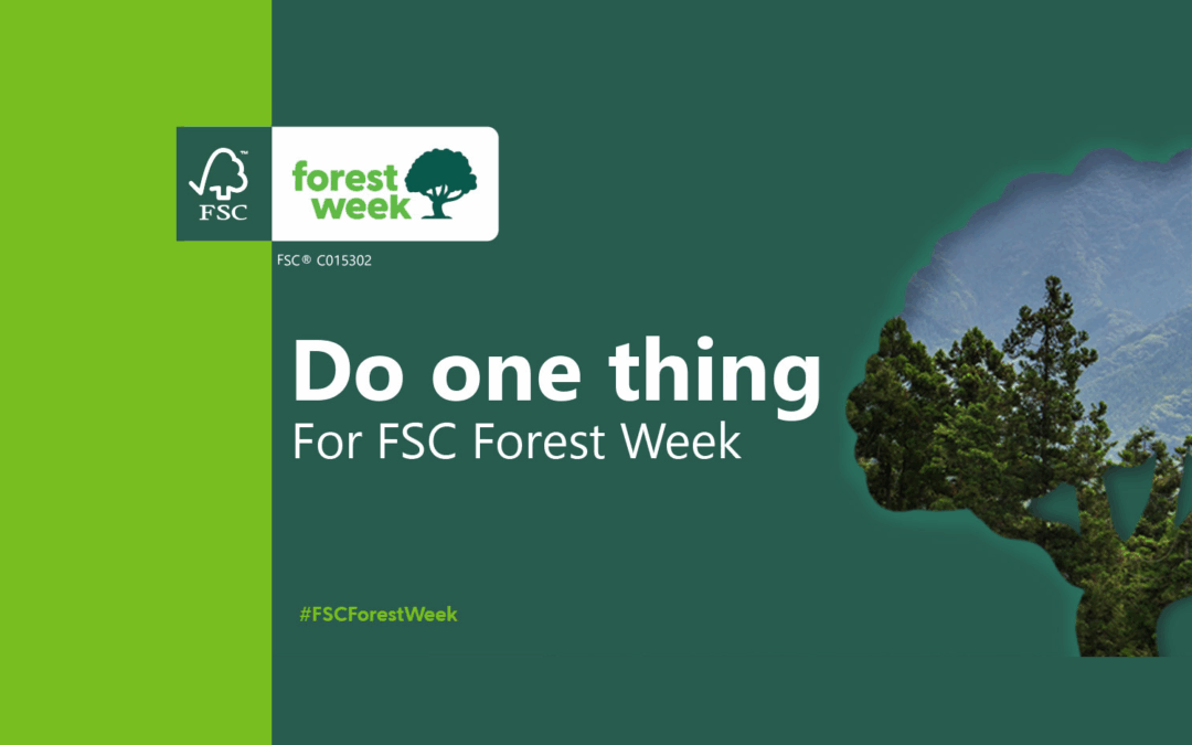 Fiorini International with FSC to support sustainable forest management