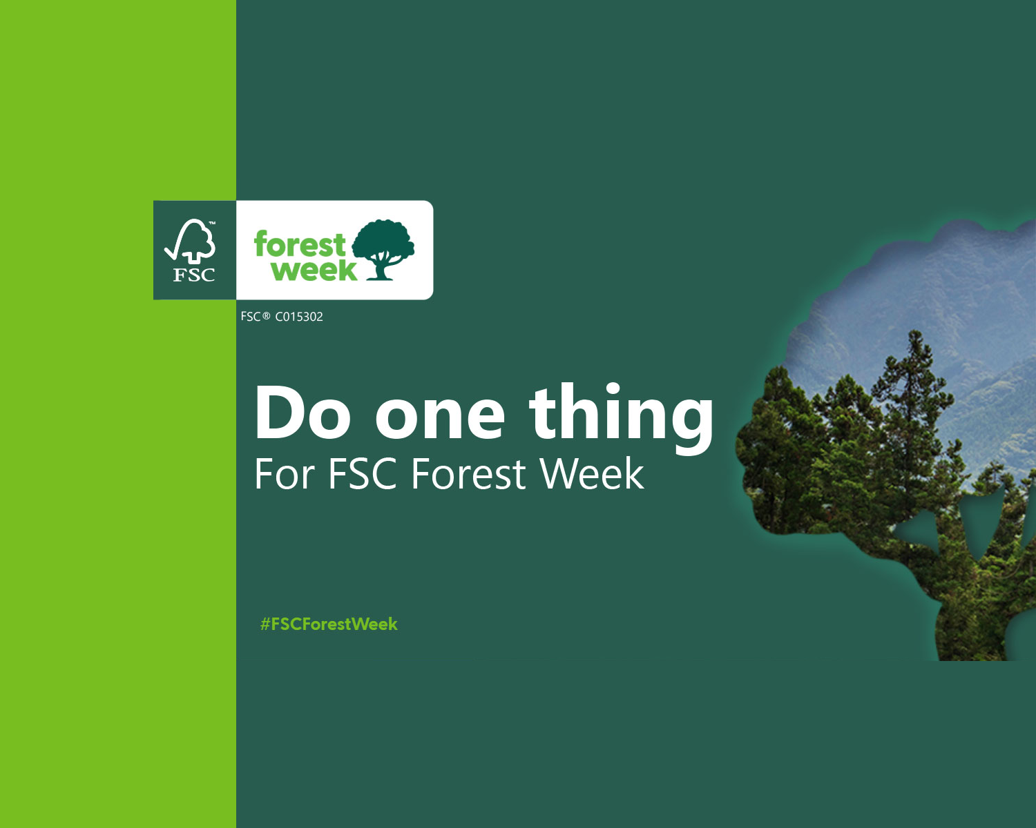Fiorini International with FSC