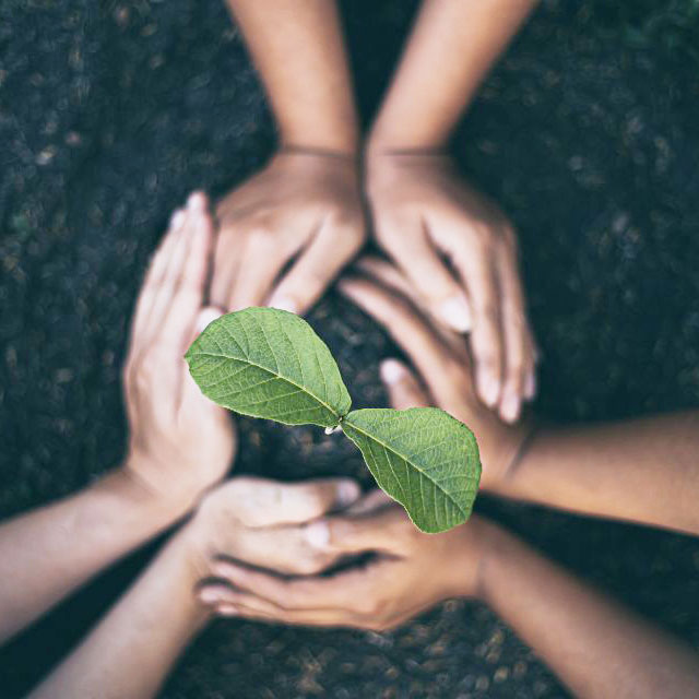 Fiorini International Sostenibilità sociale